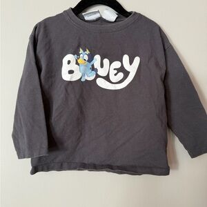 ZARA Bluey Long Sleeve Tee Size 4Y Gray Graphic Shirt Kids Cartoon Top
